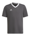 adidas Entrada 22 Trikot Kids Grau Weiss