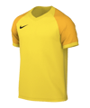 Nike Trophy VI Trikot Gelb F719
