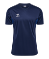 Hummel AUTHENTIC PL Trikot Blau F7026