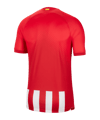 Nike Atletico Madrid Trikot Home 2023/2024 Rot F613 - rot
