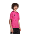 adidas Team Icon 25 Trikot Kids Rosa - rosa
