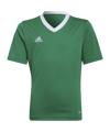 adidas Entrada 22 Shirt Kids Groen  