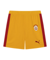 PUMA Galatasaray Istanbul T7 Court Jaune C81 