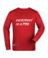 11ts Academy Sweatshirt Pro Rot