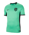 Nike Atletico Madrid Trikot UCL 2023/2024 F364 - gruen
