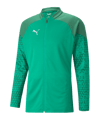 Veste de Training PUMA teamCUP vert F05 