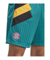 adidas FC Bayern München Icon Short Grün - gruen