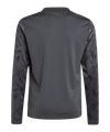 adidas Team Icon 25 Trikot Kids Schwarz - schwarz