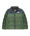 The North Face 1996 Retro Jacke Grün
