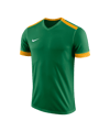 Nike Park Derby II Trikot Grün Gold F302