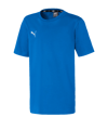 PUMA teamGOAL 23 Casuals Tee t-shirt kids  blauw F02