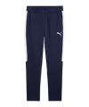 PUMA teamEVOSTRIPE Trainingsbroek Blauw K06 