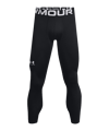 Under Armour Baselayer CG Leggings Schwarz F001