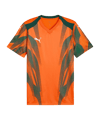PUMA teamFINAL Graphic Maglietta Arancione C37 