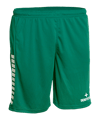 Derbystar Korte broek Groen 