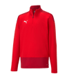 PUMA TeamGOAL 23 Training 1/4 Zip Top Kids Rood F01