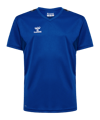 Maillot Hummel Authentic Pl enfants bleus F7045 