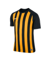 Maillot de football manches courtes Nike Striped Segment III Noir F010