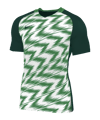 Nike Naija maglietta verde bianco F302 