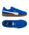 PUMA Handball Bleu C001 