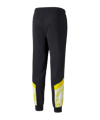 PUMA BVB Dortmund Iconic Trainingshose Kids F02 - schwarz