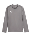 PUMA teamGOAL Training Sweatshirt Kids Grau F13