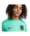 Nike Atletico Madrid Trikot UCL 2023/2024 F364 - gruen
