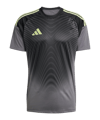 Maillot de gardien adidas Tiro 25 Competition gris 