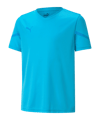 PUMA teamFLASH Trikot Kids Blau F02