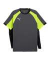 PUMA Trikot Grau F08