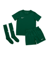 Nike Park 20 Trikot Set Kids Grün F302