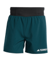 adidas Terrex Xperior Short Grün
