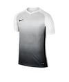 Nike Precision IV Trikot kurzarm Weiss F100
