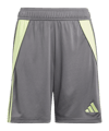 adidas Tiro 24 Korte Broek Kids Grijs  