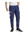 adidas Ajax Amsterdam Icon Trainingshose Blau - blau