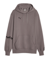 PUMA Hoops Team Hoody Grau F02