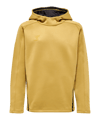 Hummel hmlCIMA XK Hoody Kids Gold F9036