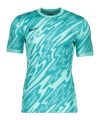 Nike Gardien V Torwarttrikot Türkis F354