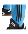 adidas Originals Adicolor SST Jogginghose Blau - blau