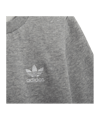 adidas Originals Adicolor Crew Set Grey - grau