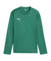 PUMA teamGOAL Training Sweatshirt Kids Grün F05