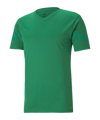 PUMA teamFLASH Trikot Kids Grün F05