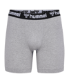 Hummel 2-Pack underwear Shorts grigio F2006 