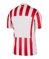 Nike Atletico Madrid Trikot Home 2025/2026 Rot F615 - rot