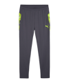 PUMA individualCUP training pant gris F08 