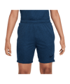 Nike Academy Trainingshort Blau F457