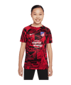 Nike Atletico Madrid Prematch Shirt 22/23 K F611 - rot