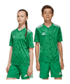 adidas Team Icon 25 Trikot Kids Grün - gruen