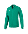 Veste PUMA FINAL Sideline Jacke Vert F05 