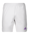 adidas Tiro 23 Pro Keepersshort Grijs Wit  